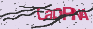 Captcha認証コード